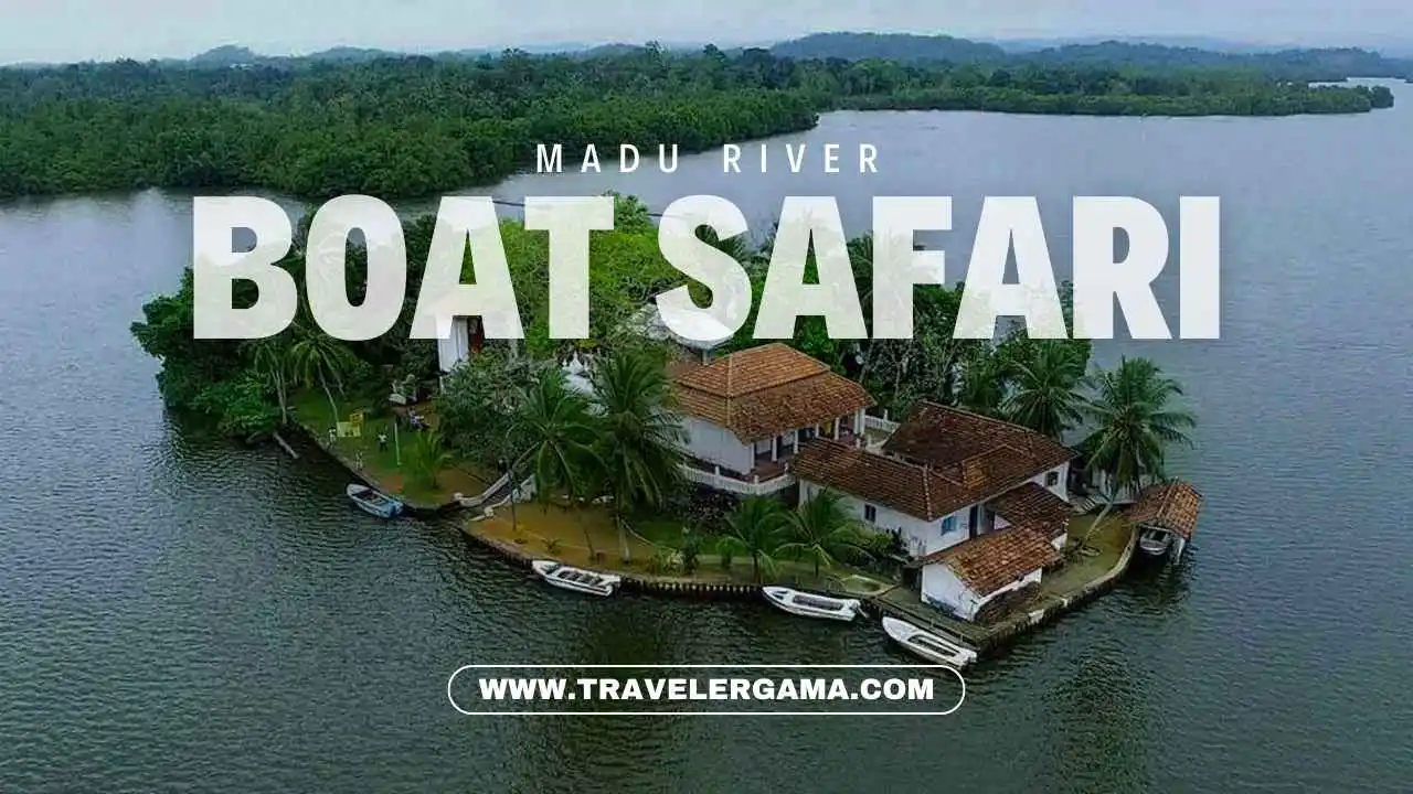 Madu River Boat Safari in Galle