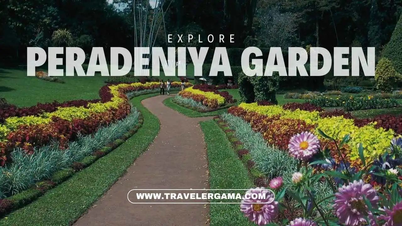 A Visitor’s Guide to Peradeniya Botanical Garden