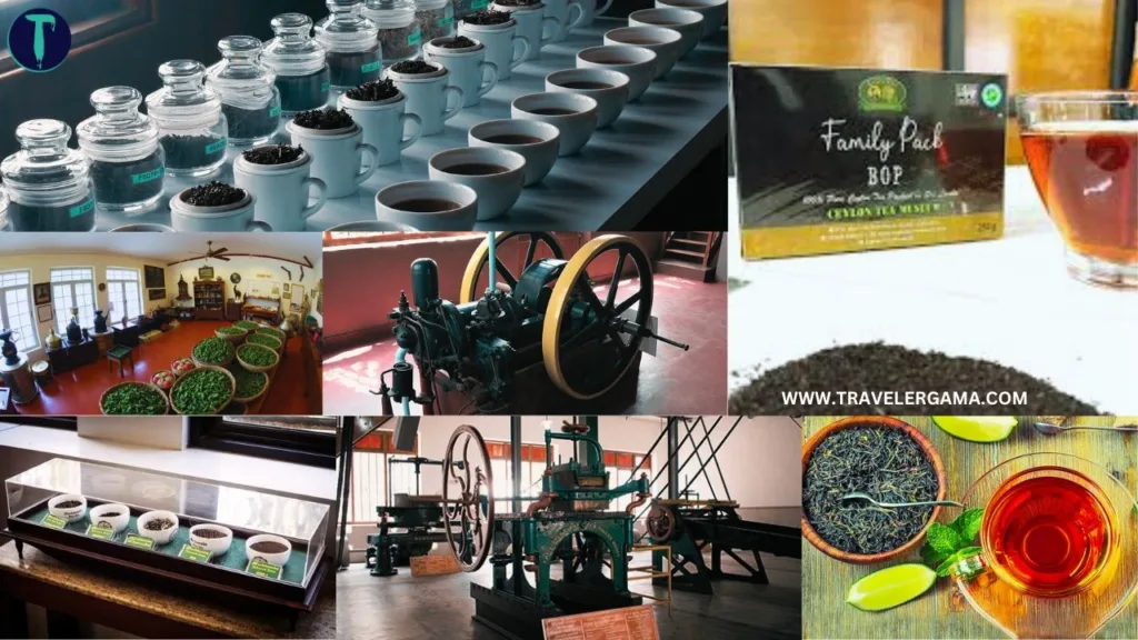 Activity in Ceylon Tea Museum