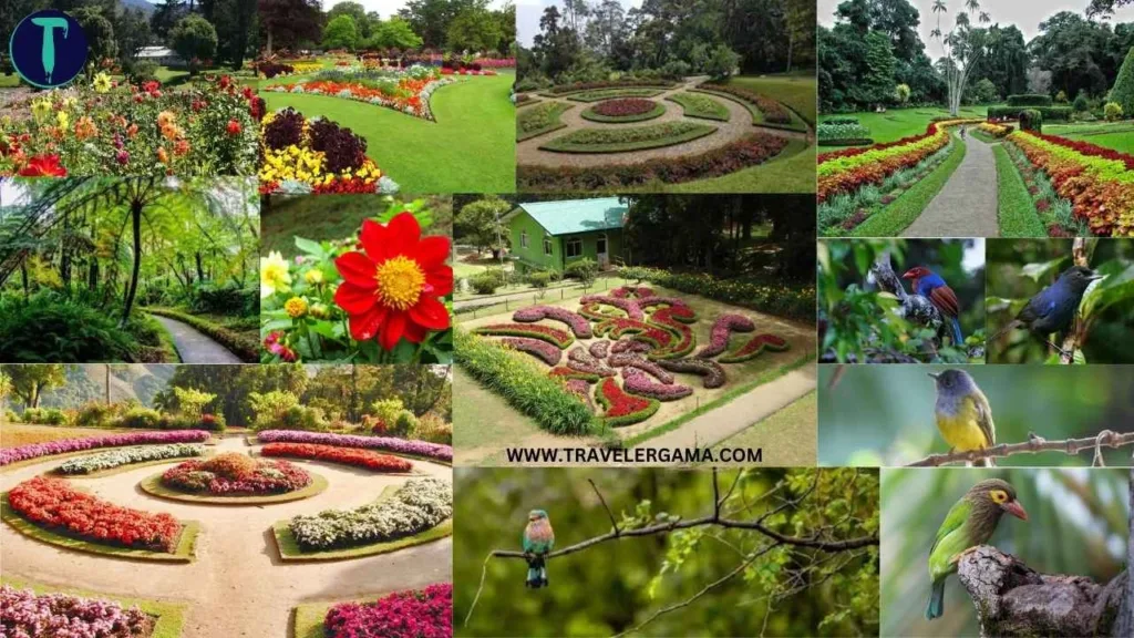 Activity in Hakgala Botanical Garden