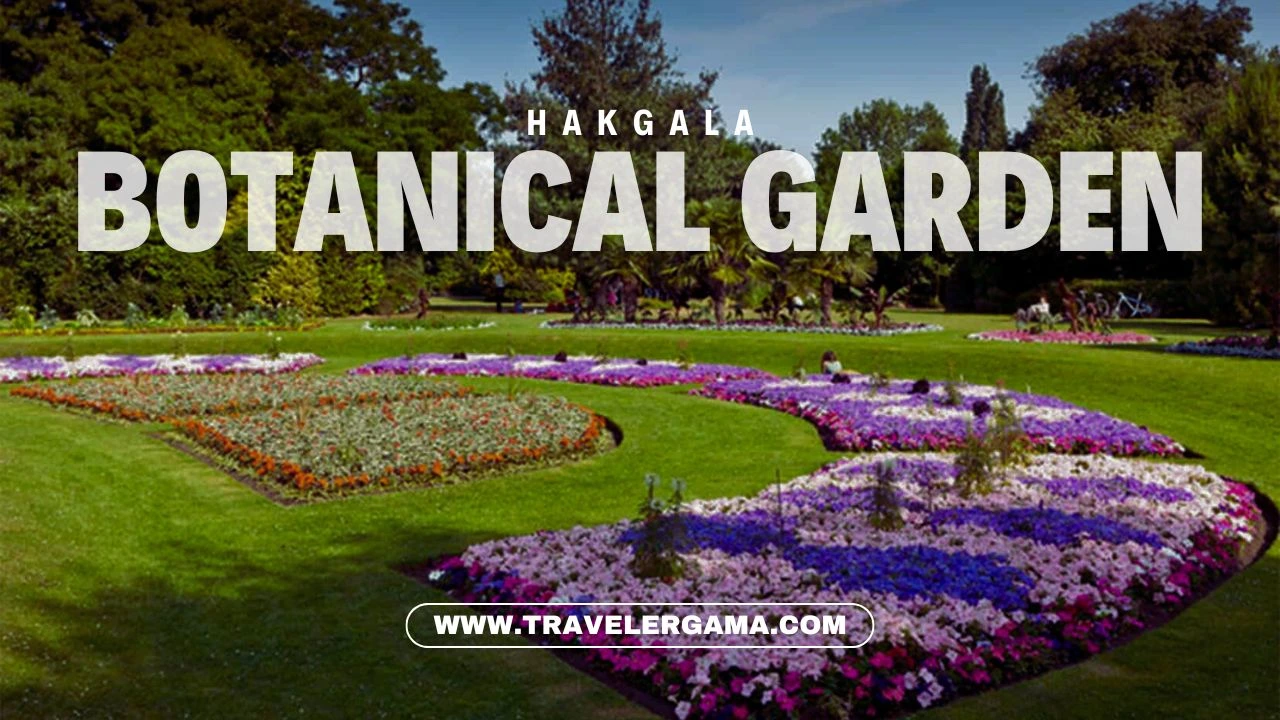 Beauty of Hakgala Botanical Garden