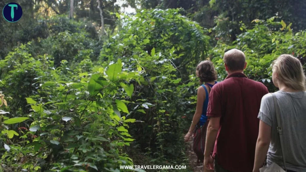 Devathura Ella Falls Activity