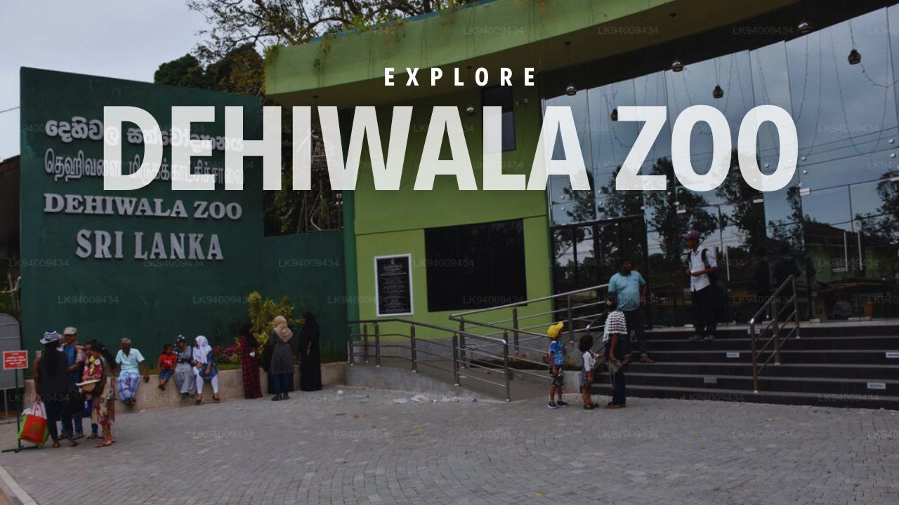 Feel the Excitement of Exploring Dehiwala Zoo: A Paradise for Animal Lovers