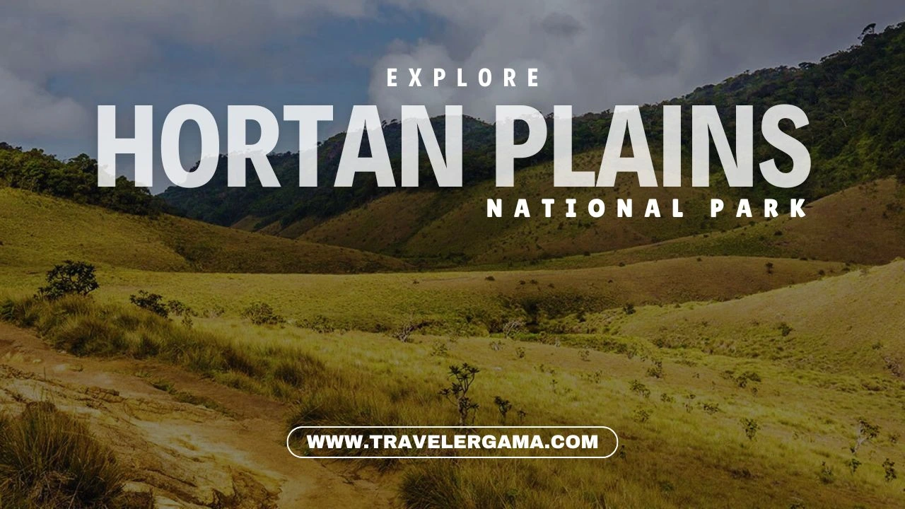 Feel the Peaceful Serenity of Horton Plains National Park