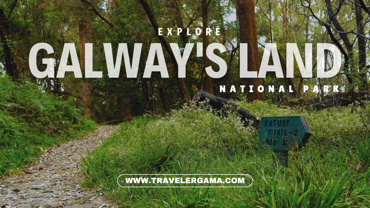 Galway’s Land National Park A Positive Experience in Nature’s Embrace