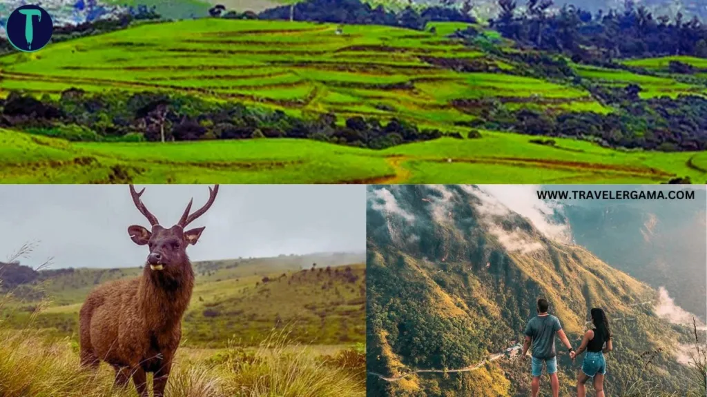 Moon Plains of Sri Lanka