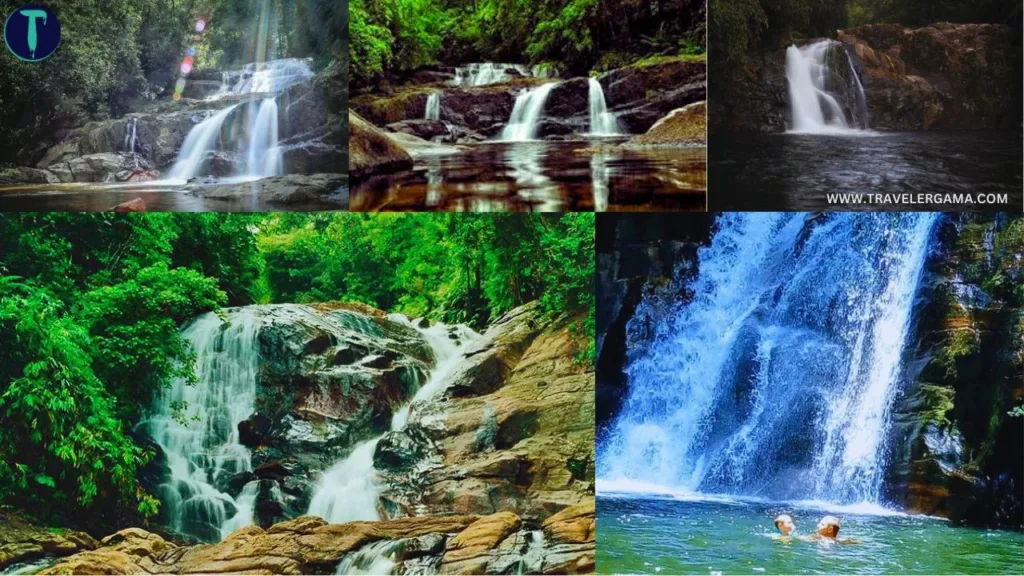 Sinharaja Forest Waterfalls