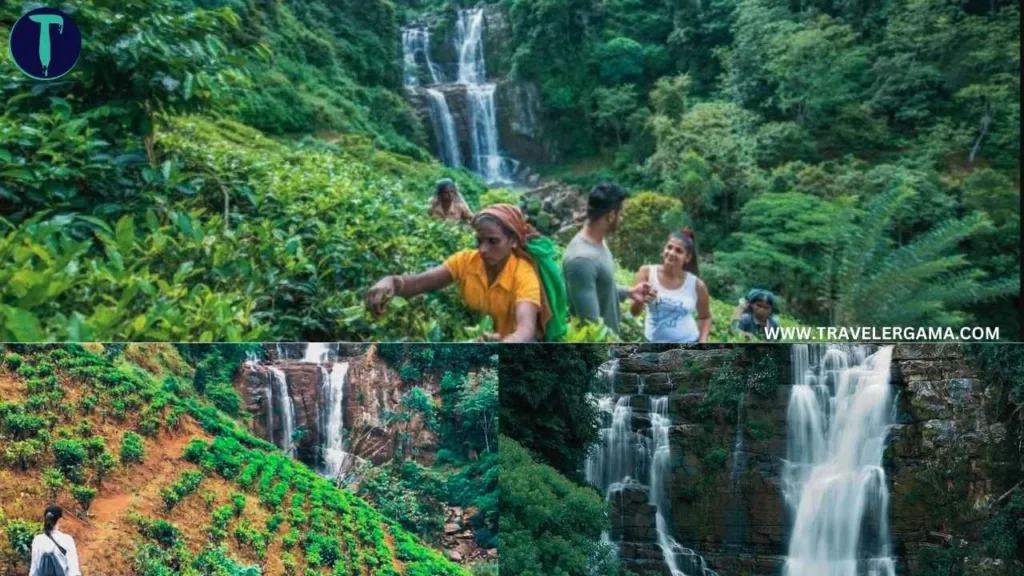 Waterfall Trekking & Photography in Ramboda Falls