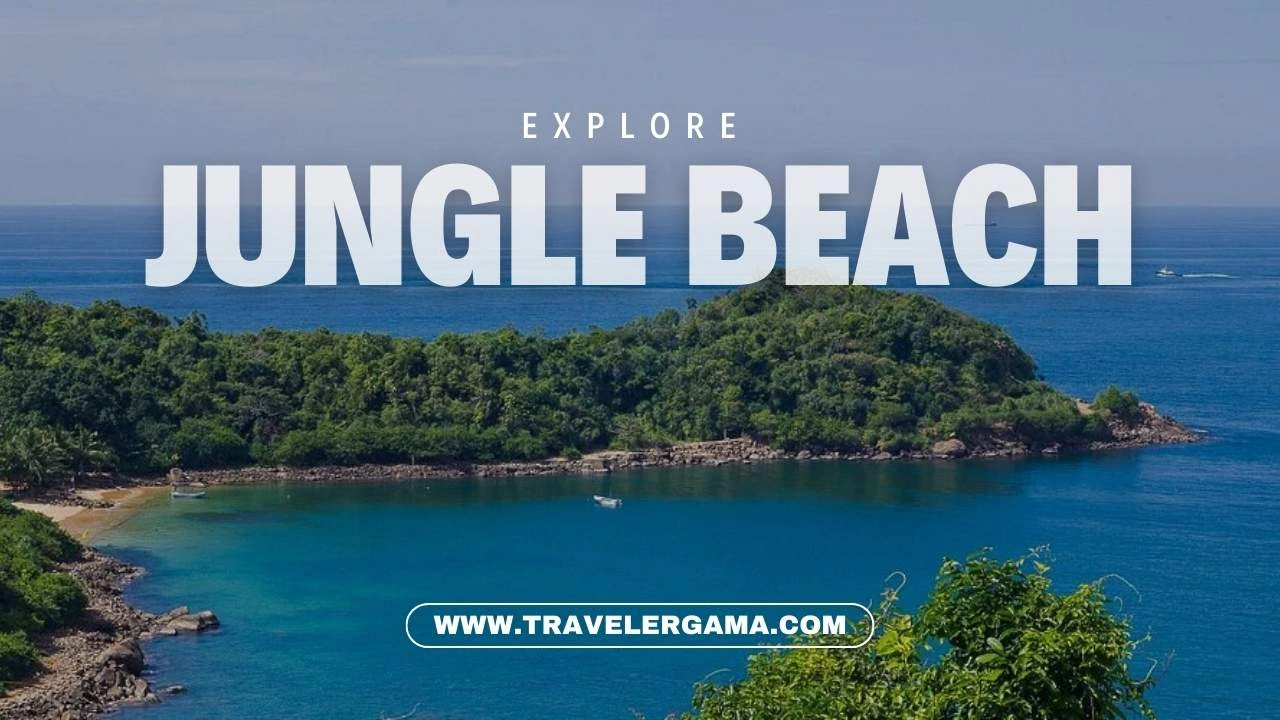 Visit Jungle Beach: Hidden Beautiful Beach in Sri Lanka