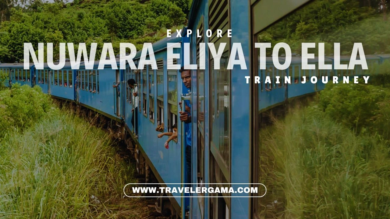 The Breathtaking Joy of the Train Ride from Nuwara Eliya to Ella